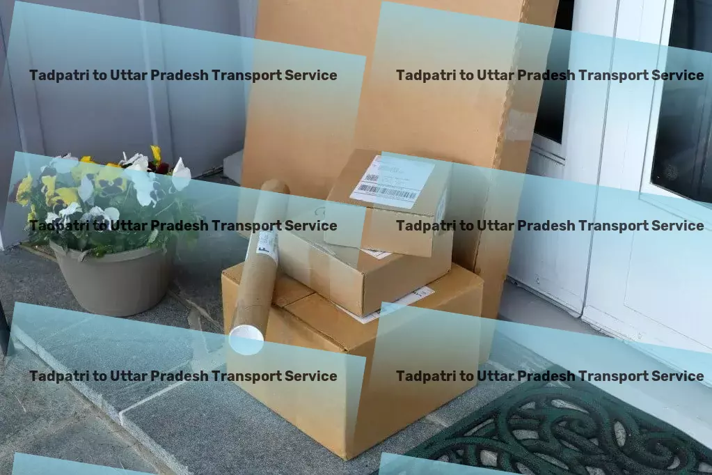 Tadpatri to Uttar Pradesh Transport Quick cargo transport