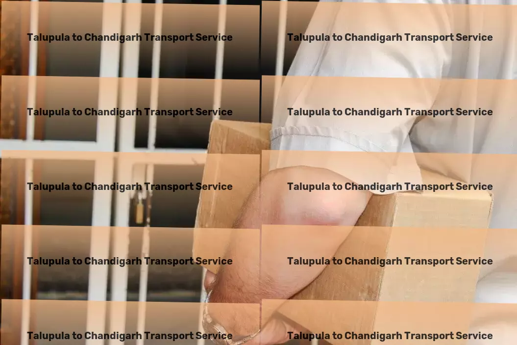 Talupula to Chandigarh Transport Custom goods services