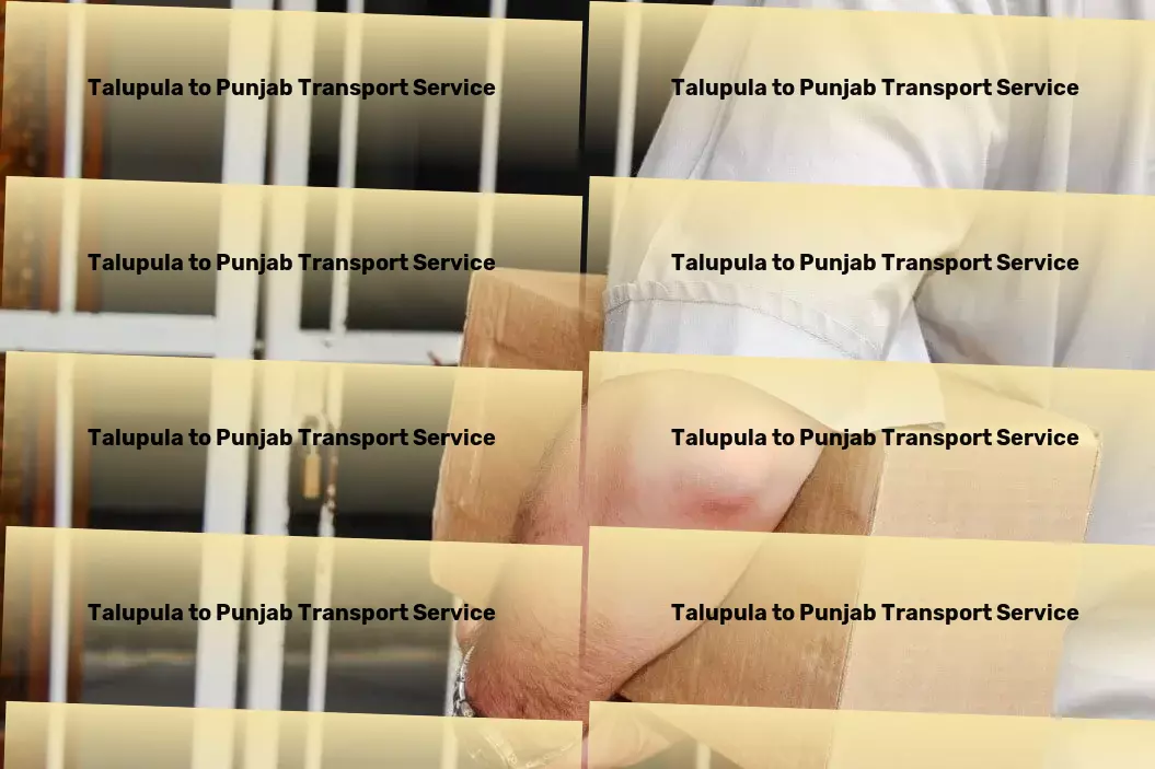 Talupula to Punjab Transport Dedicated freight forwarding