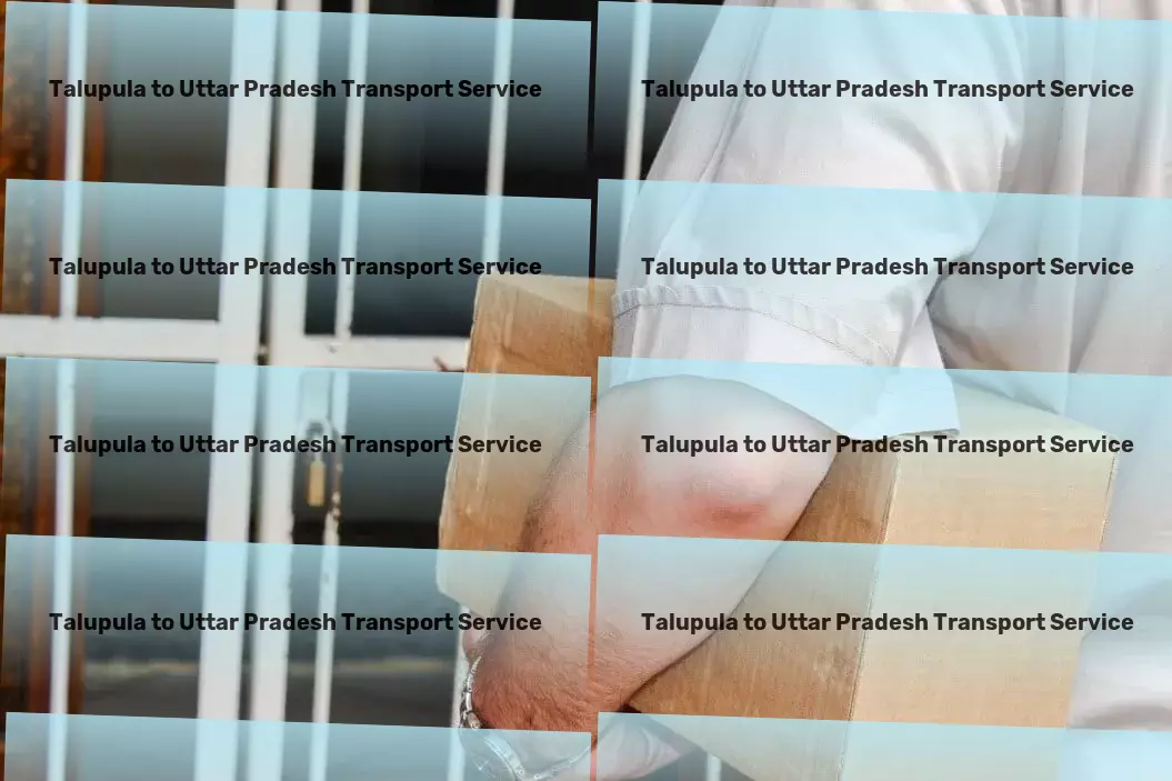 Talupula to Uttar Pradesh Transport Door-to-door delivery services