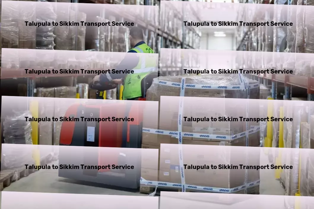 Talupula to Sikkim Transport Tailored transport solutions to fit India's unique challenges! - Household Courier Service