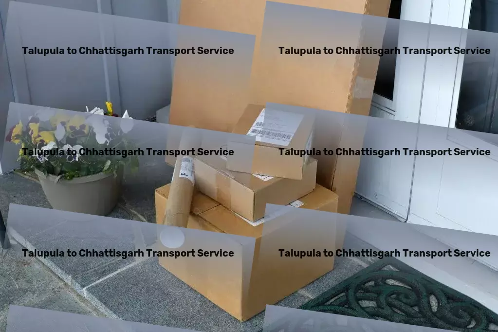 Talupula to Chhattisgarh Transport Local package forwarding