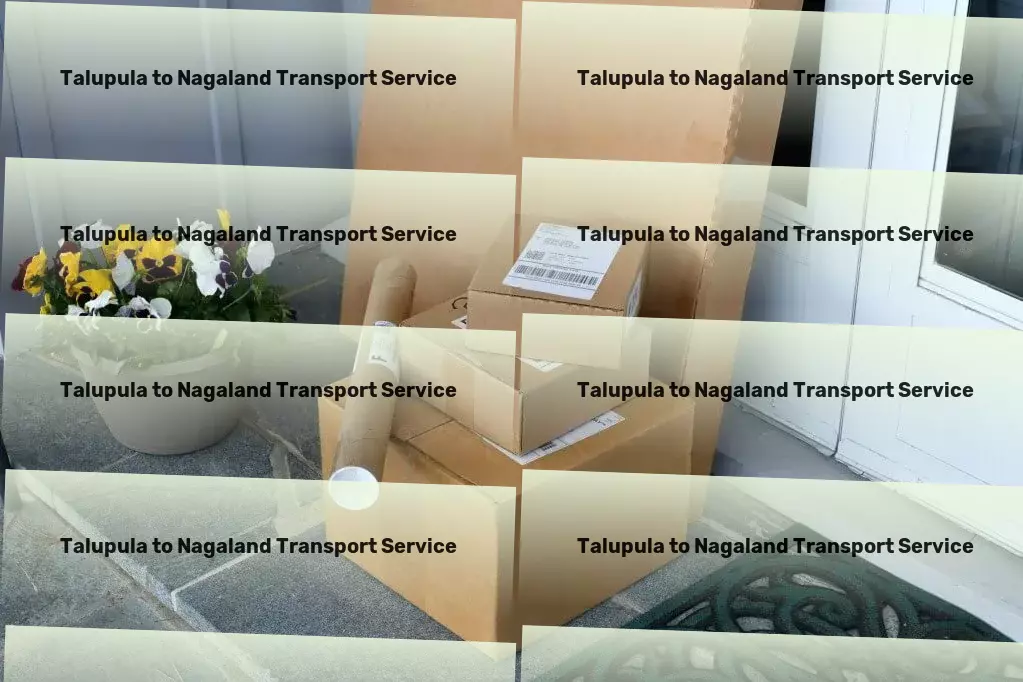 Talupula to Nagaland Transport Comprehensive cargo services