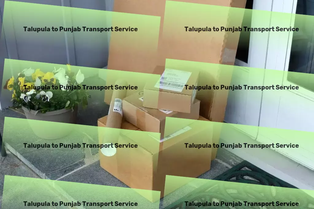 Talupula to Punjab Transport Residential door delivery