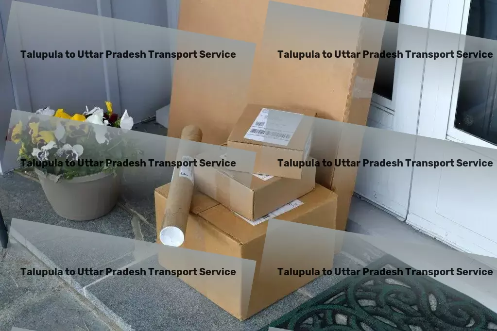 Talupula to Uttar Pradesh Transport Specialized household moving