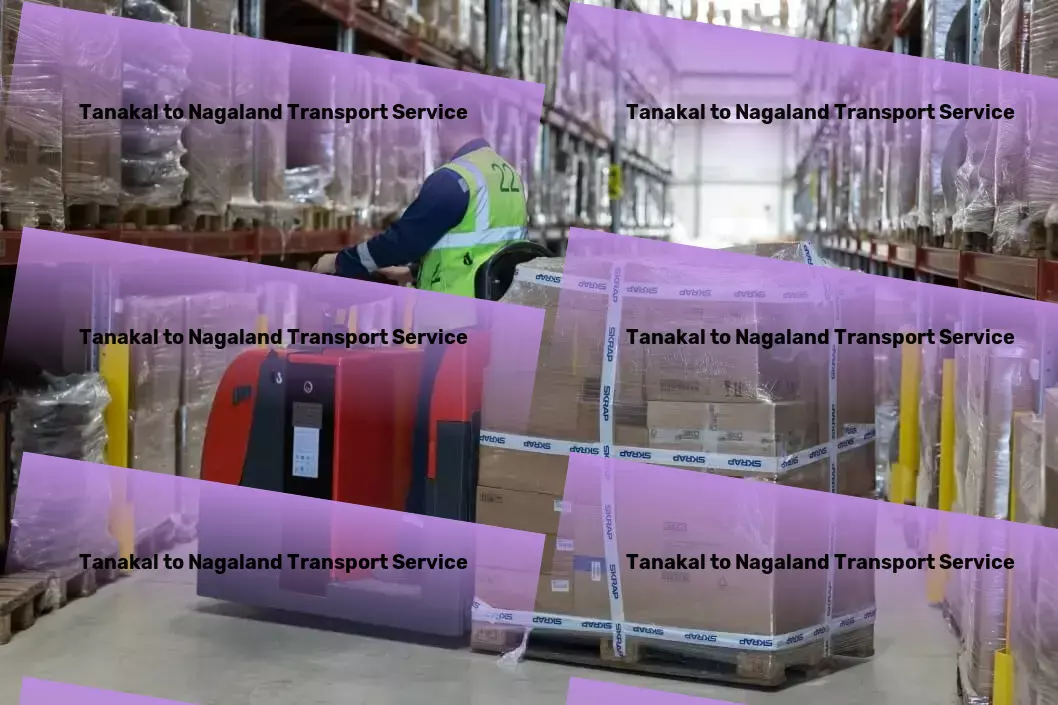 Tanakal to Nagaland Transport Customized goods logistics