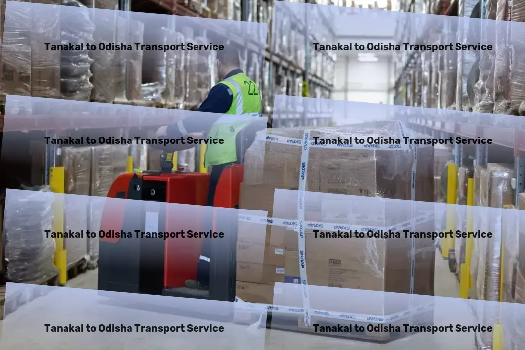 Tanakal to Odisha Transport Seamless, efficient, unstoppable transport services in India! - Door-to-door transport solutions