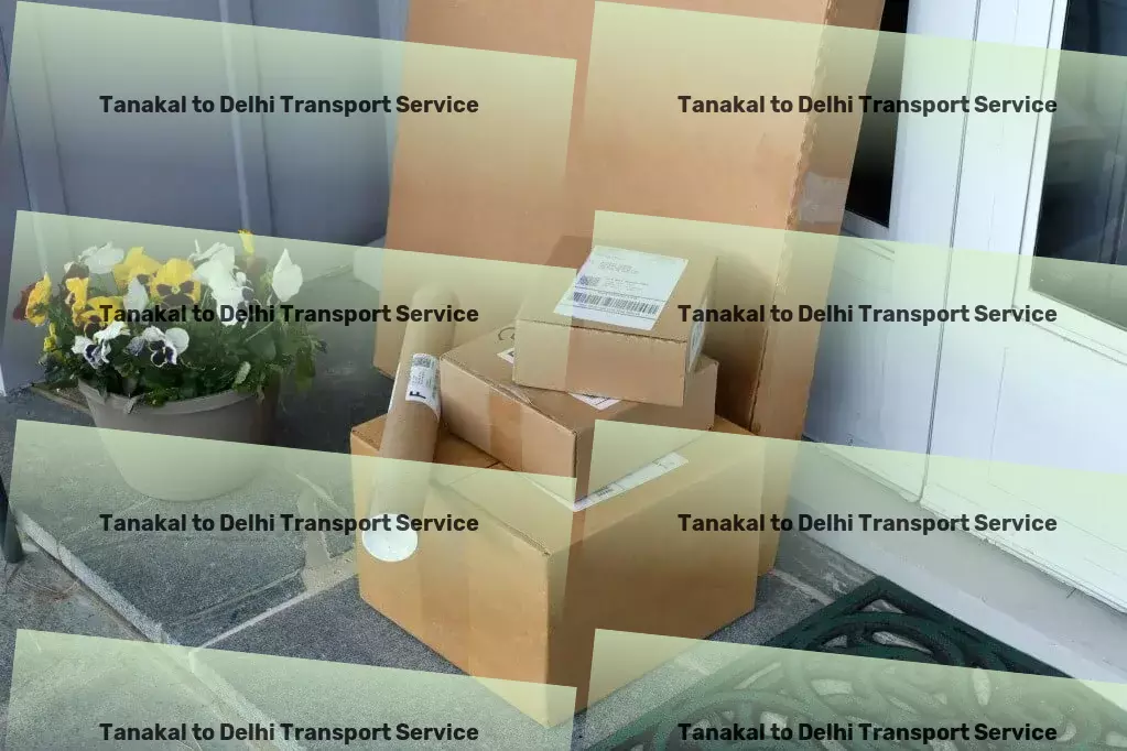 Tanakal to Delhi Transport Household Courier Service