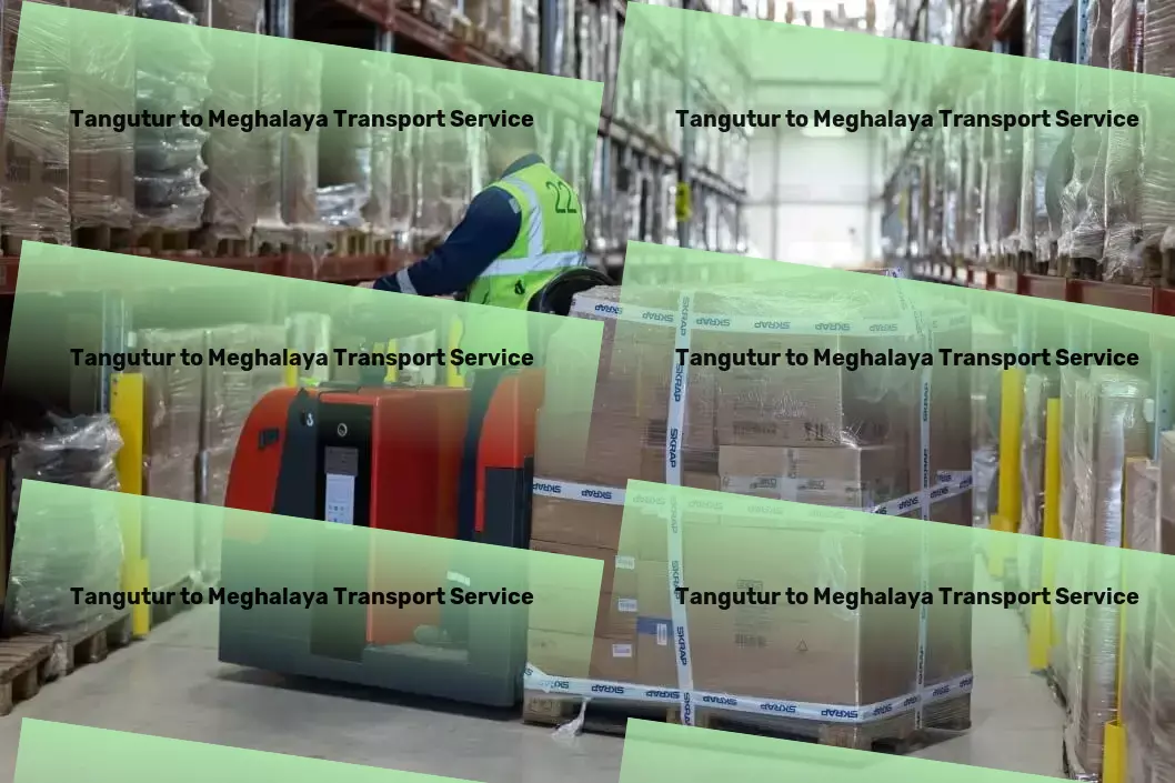 Tangutur to Meghalaya Transport Urban package delivery