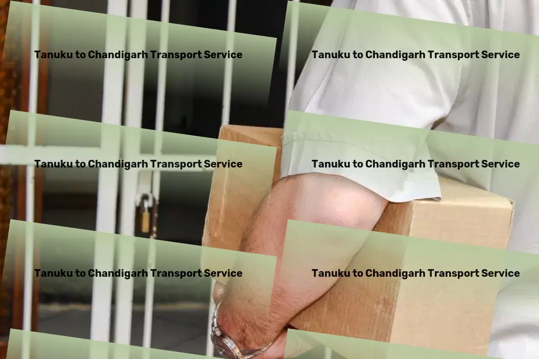 Tanuku to Chandigarh Transport Cross-country logistics