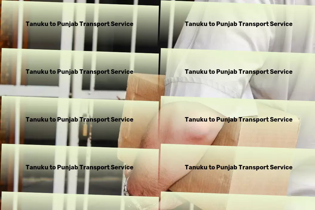 Tanuku to Punjab Transport Freight booking platform