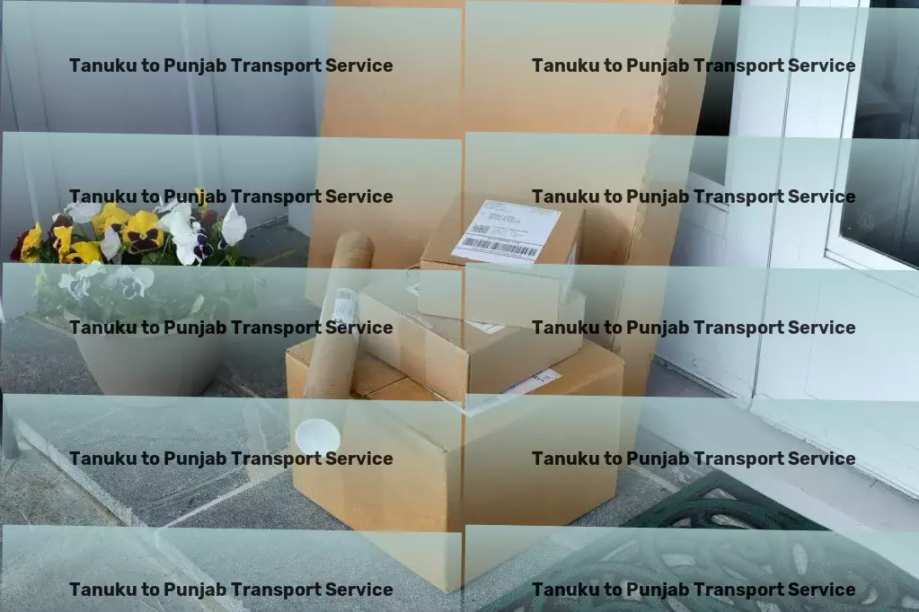 Tanuku to Punjab Transport Fast transport solutions