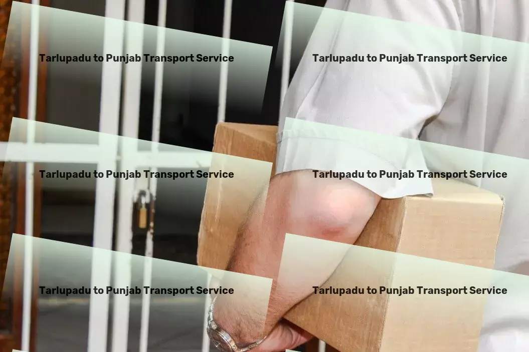 Tarlupadu to Punjab Transport Comprehensive package delivery