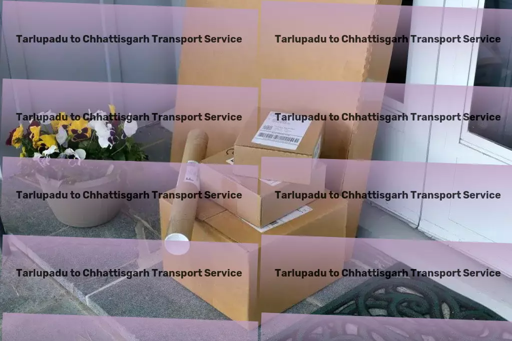 Tarlupadu to Chhattisgarh Transport Efficient moving services