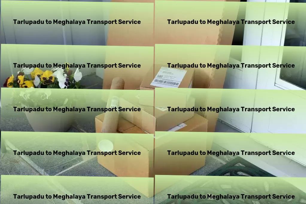 Tarlupadu to Meghalaya Transport Spearheading transformative transport services in India! - Express parcel delivery